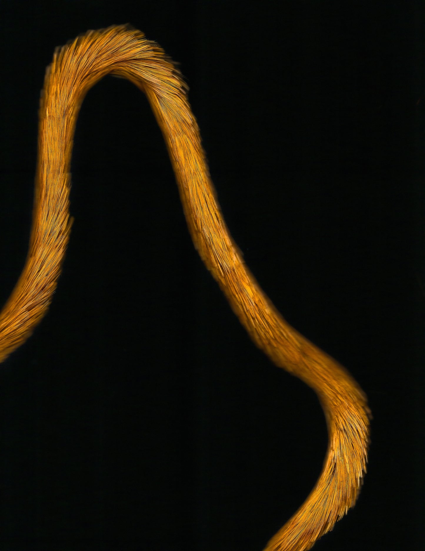 KA PO: LEI HULU SCANS 8