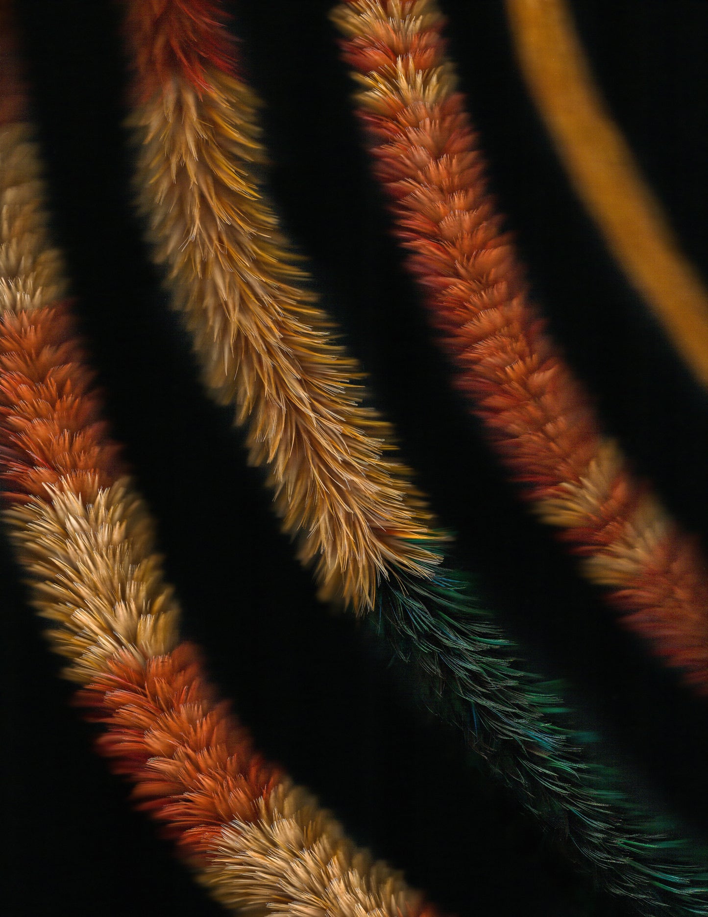 KA PO: LEI HULU SCANS 3