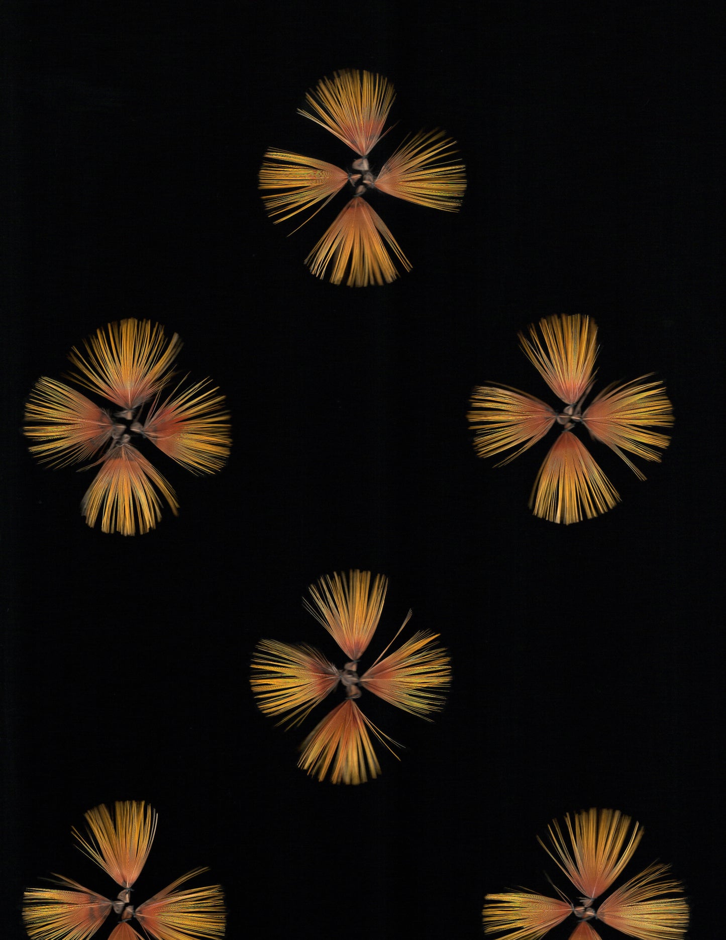 KA PO: LEI HULU SCANS 1