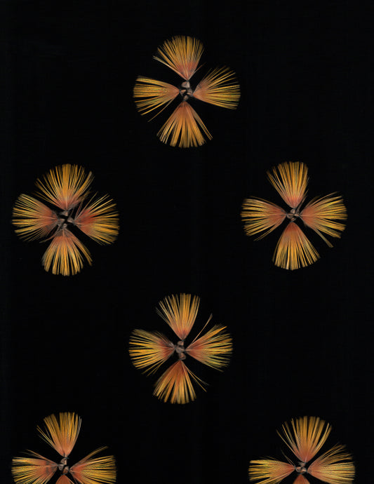 KA PO: LEI HULU SCANS 1