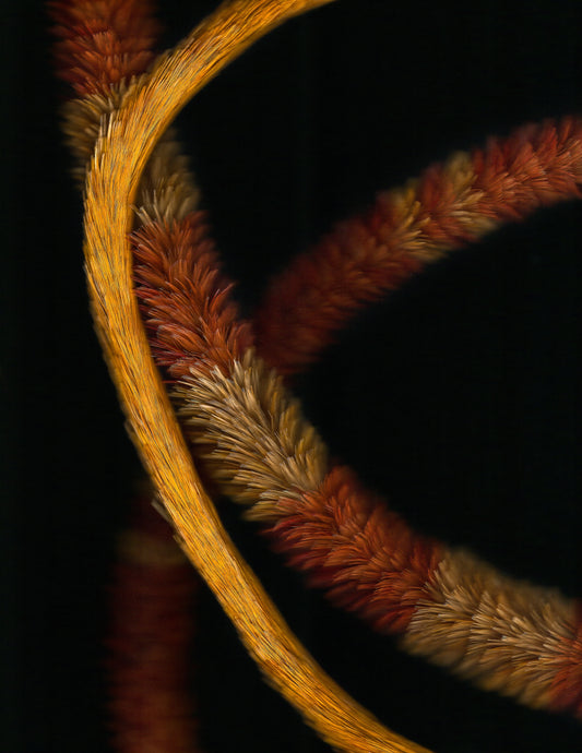 KA PO: LEI HULU SCANS 7