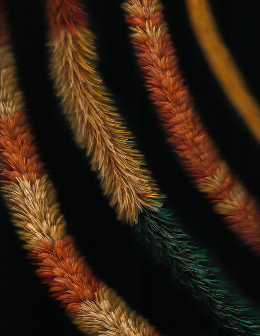 KA PO: LEI HULU SCANS 3