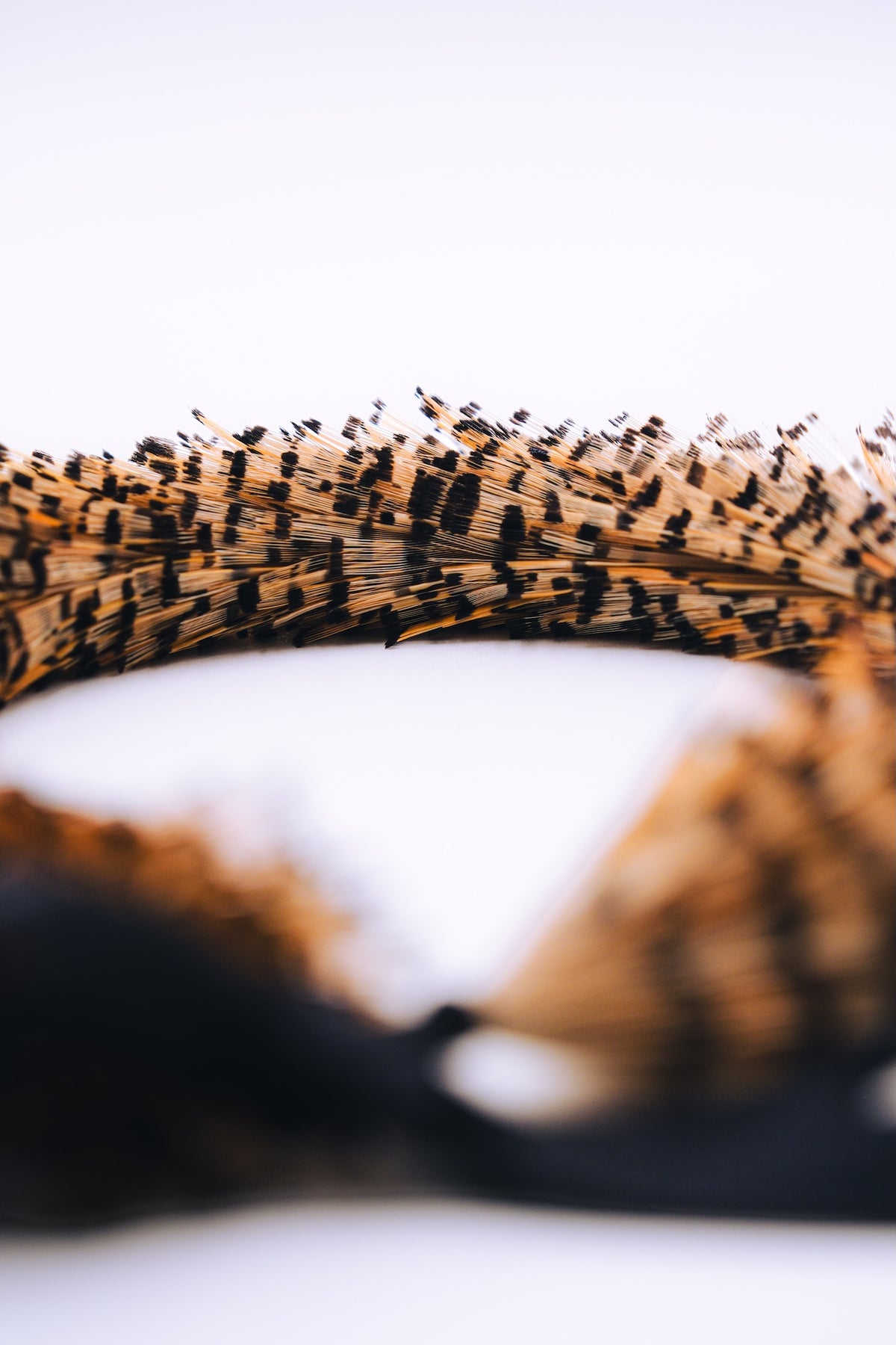 Lei Hulu Classes (First and Second cut feathers)