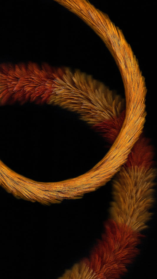 KA PO: LEI HULU SCANS 9